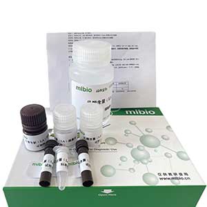 胃蛋白酶(Pepsin)測試盒/分光光度法主圖